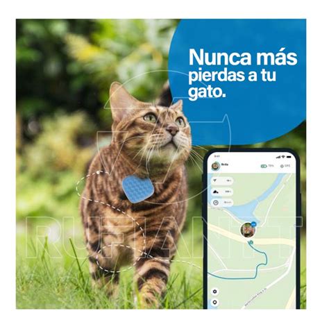 Gps Para Gatos Perros Mascotas Rastreo En Tiempo Real Con App M Vil