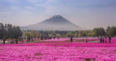 Best Tourist Destination In Tokyo Japan