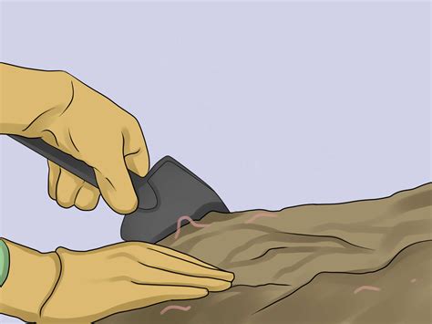 Как недорого удобрять сад: 6 шагов (с иллюстрациями)