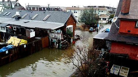 Worst Flooding Since Sandy Leaves Hundreds Stranded On Fire Island Animal