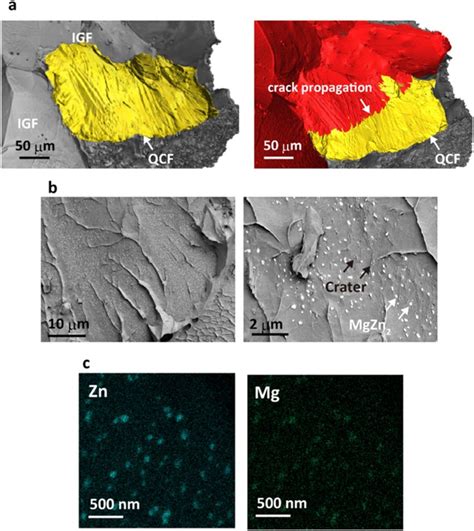 Experimental Observation Of The Fracture Surface Of An Al Zn Mg Alloy