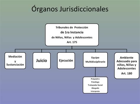 Organos Jurisdiccionales Lopnna