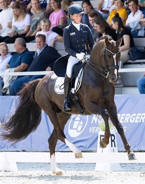 Save the Date - Haras de Malleret Stallion Show with Two Olympians on ...