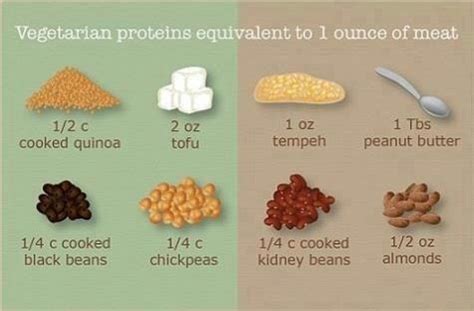 vegetarian experience vegetarian proteins
