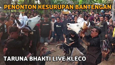 Penonton Kesurupan Bantengan Ngamuk Taruna Bhakti Live Kleco Gondang