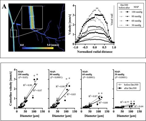 Typical Example Of Velocity Profile And Distribution In The Venular