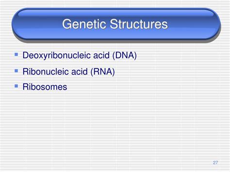 Ppt The Prokaryotes Powerpoint Presentation Free Download Id3026123