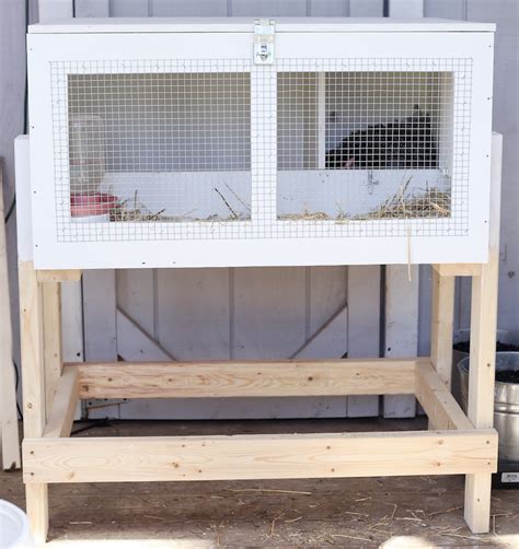 How To Hatch Chicks With A Broody Hen And How To Build A Brooder Box