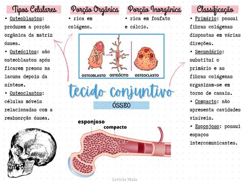 Tecidos Conjuntivo Mapa Mental Enfermagem Images