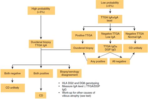 Celiac Disease Diagnostic Standards And Dilemmas