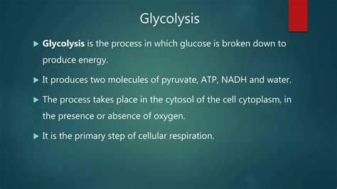 Reciprocal Regulation Of Glycolysis And Gluconeogenesis Reciprocal