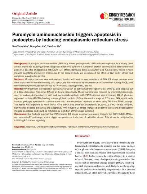 PDF Puromycin Aminonucleoside Triggers Apoptosis In Podocytes By