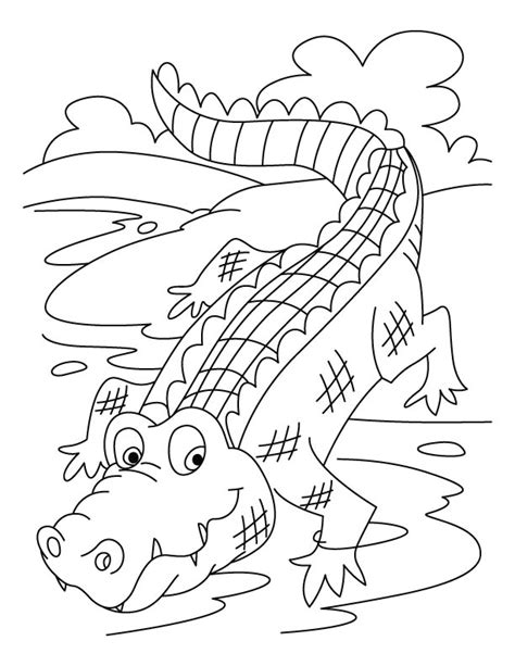 Free Printable Crocodile Coloring Pages For Kids