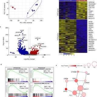 Establishment Of Icc Organoids And Demonstration Of Their Phenotypic