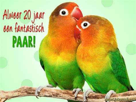 Jakosawi Gratis Wenskaarten E Cards Jaar Een Paar