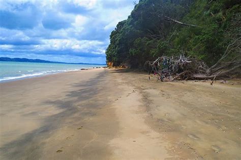 Big Bay Holiday Park The New Zealand Camping Guide