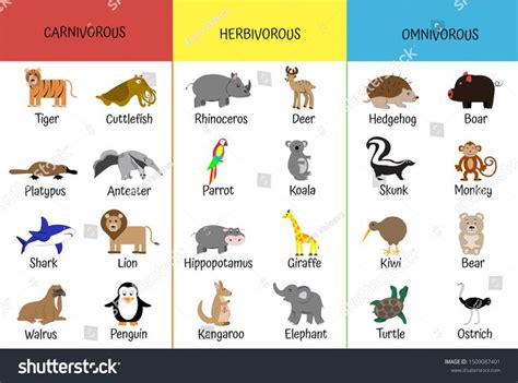 Carnivores, herbivores, omnivores. Animals by category. Educational ...