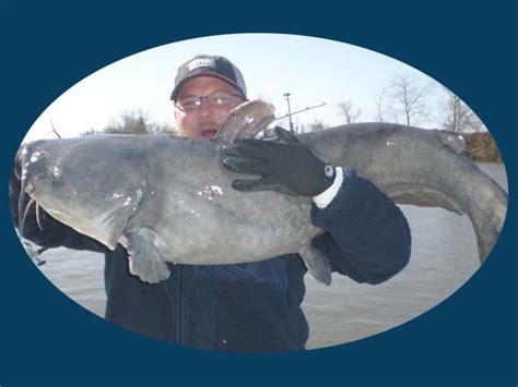 James River Catfishing Guide Guide Service For Blue Catfish On The