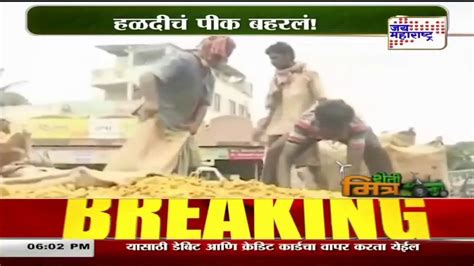 Agriculture News हळदीचं पीक बहरलं Marathi News Youtube