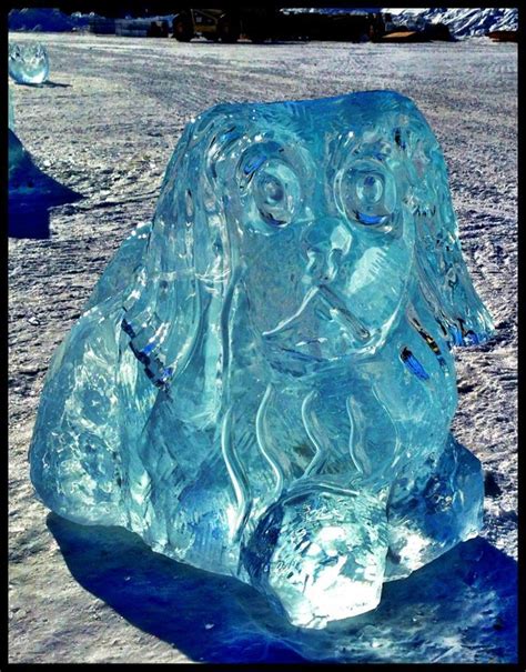 an ice sculpture is sitting in the snow