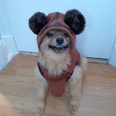 dog ewok costume Archives | spiffykerms.com