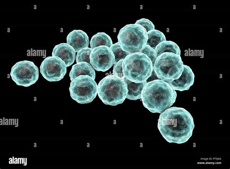 Chlamydia Eye Immagini E Fotografie Stock Ad Alta Risoluzione Alamy