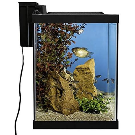 Gallon Fish Tanks