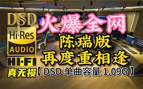 亚运会让这歌又火了！《再度重相逢》大比拼：陈瑞dsd完整版，单曲容量109g【真正dsd无损hifi音乐，百万调音师独家制作】 车音乐百万