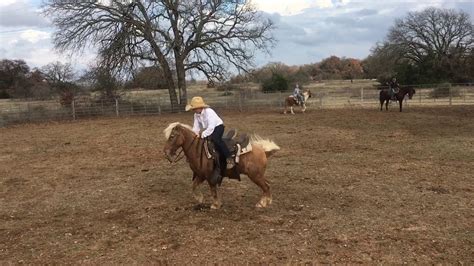 Pony Bucking Machine Youtube