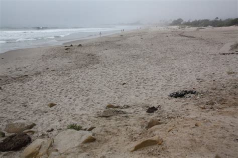 Carpinteria State Beach, Carpinteria, CA - California Beaches