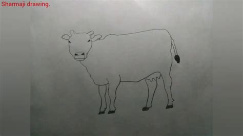 How To Draw A Cow With Pencil Youtube