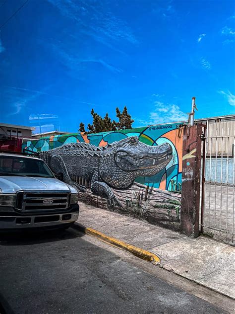 Santurce Murals - San Juan Street Art Walk Tour - Sip Bite Go