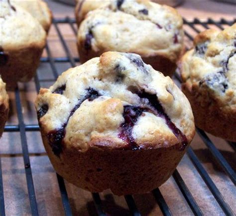 Best Ever Diabetic Muffins Recipes – Easy Recipes To Make at Home