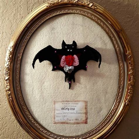 Chiroptera Felt Anatomy Biology Gothic Creepy Cute Halloween Taxidermy Dissected Weird