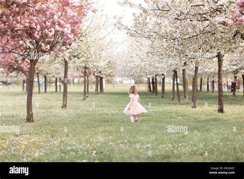 Petite Fille Qui Court Dans Le Parc Banque De Photographies Et Dimages