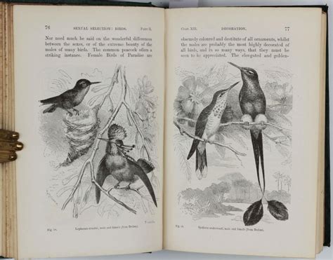 The Descent Of Man And Selection In Relation To Sex Von DARWIN Charles Very Good Hardcover
