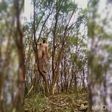 Climbing The Tree Naked Gay Amateur Amateur Porn Feat Exhib XHamster