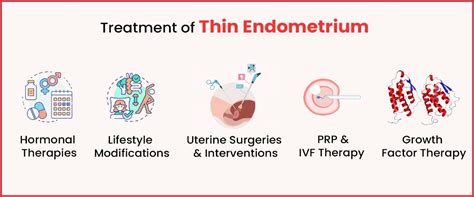 Thin Endometrium Symptoms Causes And Treatment