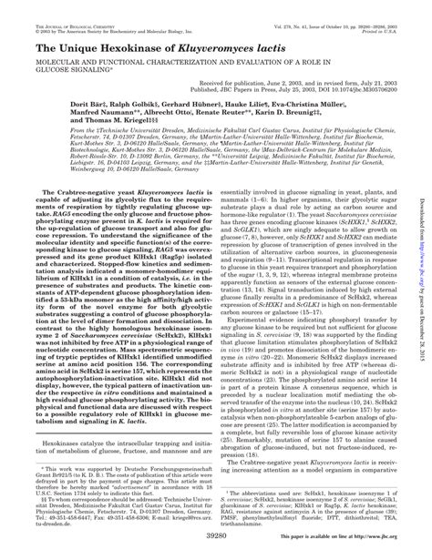 Pdf The Unique Hexokinase Of Kluyveromyces Lactis Molecular And