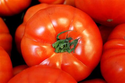 Bright Red Delicious Tomato With Green Stem Among Other Tomatoes Stock