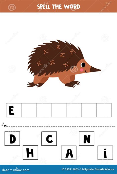 Spelling Game For Preschool Kids. Cute Cartoon Echidna. | CartoonDealer.com #295714803