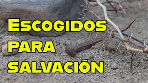 Escogidos para salvación YouTube