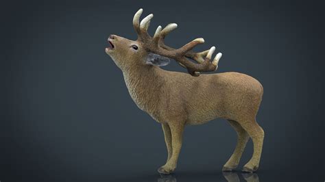 3d Model Realistic Deer Cgtrader