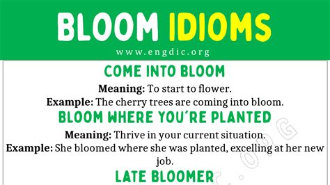 Bloom Idioms (With Meaning and Examples) - EngDic