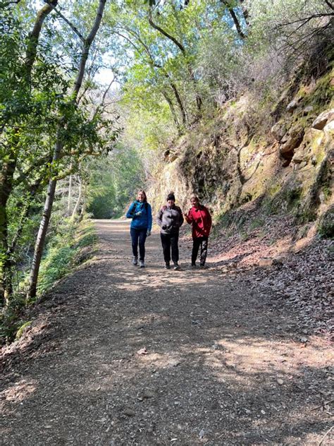 Great Trails Near Gilroy: The Waterfall Loop at Uvas Canyon County Park - Visit Gilroy