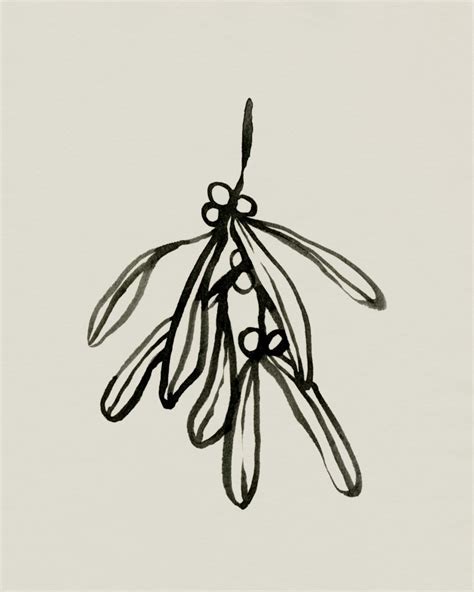 Mistletoe Sketch II - Patrick Allen Fine Art