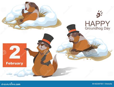 Happy Groundhog Day Marmot Holding February 2 Stock Vector