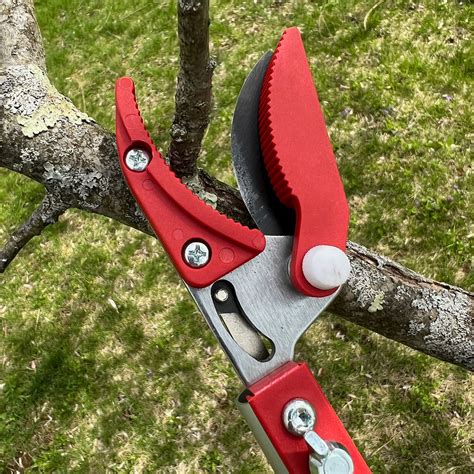 Long Reach Pruner Extends To 1 5 Meters