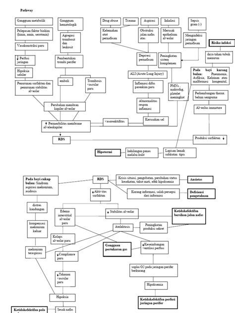 Pathway Rds Pdf