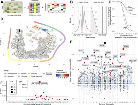 Figures And Data In Unified Single Cell Analysis Of Testis Gene